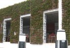 Mossy Pointgreen-walls-3.jpg; ?>