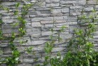 Mossy Pointgreen-walls-4.jpg; ?>