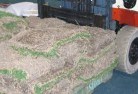Mossy Pointlawn-and-turf-11.jpg; ?>