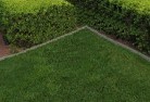 Mossy Pointlawn-and-turf-12.jpg; ?>