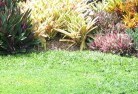 Mossy Pointlawn-and-turf-15.jpg; ?>