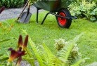 Mossy Pointlawn-and-turf-26.jpg; ?>