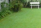 Mossy Pointlawn-and-turf-2.jpg; ?>