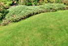 Mossy Pointlawn-and-turf-31.jpg; ?>