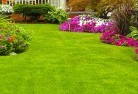 Mossy Pointlawn-and-turf-35.jpg; ?>