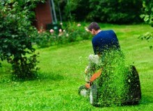 Kwikfynd Lawn Mowing
mossypoint