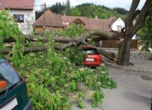 Kwikfynd Tree Cutting Services
mossypoint